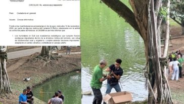 "Control de especies y protección de humedales": Dagma explica en comunicado de prensa la extracción de patos en el humedal El Retiro en Cali