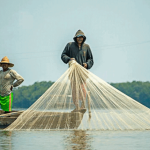 Controles por pesca indiscriminada en el río Sinú