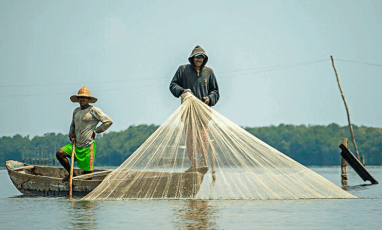 Controles por pesca indiscriminada en el río Sinú