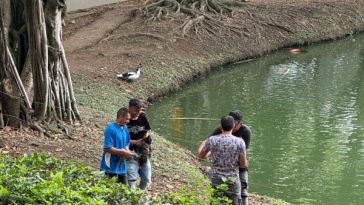 Dagma responde a polémica por minería de patos en humedal El Retiro de Cali