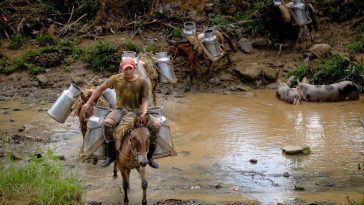 EMERGENCIA | Gobernador Arana declara calamidad pública por caída de un puente en El Guamo