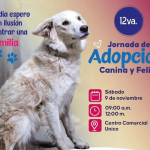 Este sábado 9 de noviembre gran jornada de adopción canina y felina en Pasto