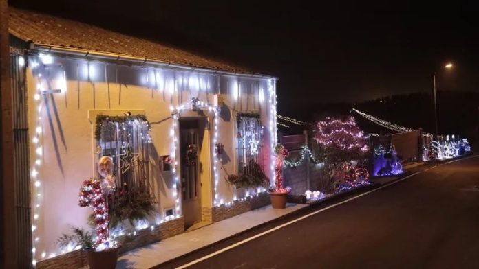 Las calles se llenarán de color y alegría con las luces navideñas, gracias a los precios accesibles anunciados.