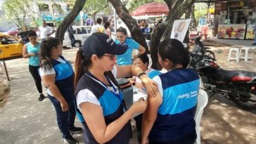 Fiebre amarilla: se encienden las alarmas por la propagación de la enfermedad