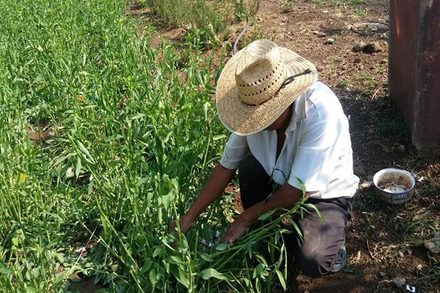 Reforma agraria