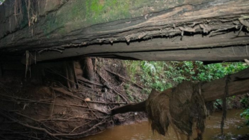 Inspeccionan vías afectadas por lluvias en Ariguaní, Magdalena