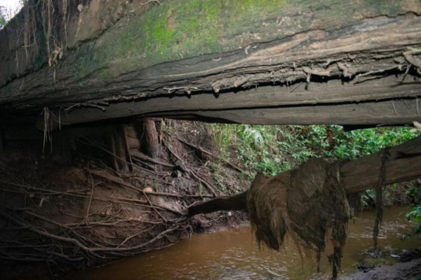 Inspeccionan vías afectadas por lluvias en Ariguaní, Magdalena