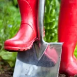 Mujeres cabeza de familia se encargará del ornato de zonas verdes en Fusagasugá