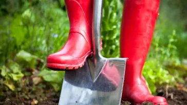 Mujeres cabeza de familia se encargará del ornato de zonas verdes en Fusagasugá