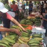 Los frutos del campo a su mesa, una alternativa que se debe aprovechar.