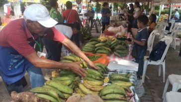 Los frutos del campo a su mesa, una alternativa que se debe aprovechar.