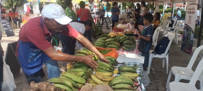 Los frutos del campo a su mesa, una alternativa que se debe aprovechar.