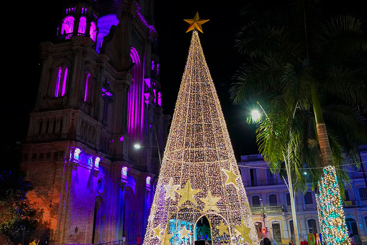 Palmira se ilumina con 7 millones de luces navideñas