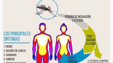 Risaralda en alerta preventiva por riesgo de Fiebre Amarilla: Todo lo que debes saber