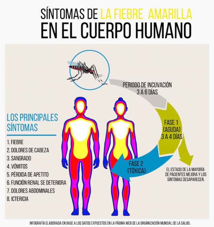 Risaralda en alerta preventiva por riesgo de Fiebre Amarilla: Todo lo que debes saber