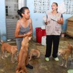 Salud atiende brote de moquillo canino