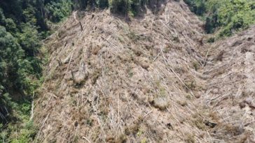 Seis capturados por deforestación en el Parque Nacional Natural (PNN) Cueva de los Guacharos.