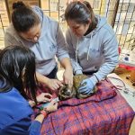 Visión 3030 ANDI y empresas privadas promueven el bienestar animal en la primera jornada de salud para mascotas de recicladores de oficio