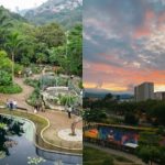 ¿Qué hacer en Cali? : feria del libro, exposición de milongas y exposición sobre el ecosistema marino