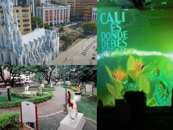 ¿Qué hay que hacer en Cali este fin de semana? : Museo de la Biodiversidad, Cartografía, Feria Amarilla entre otras actividades