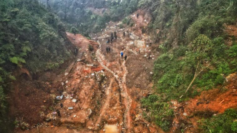 'Más de 30 años tardaría recuperación de los Farallones por minería ilegal': Parques Nacionales