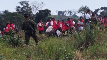 'Necesitamos que autoridades nos ayuden': masacre deja tres muertos en San José del Guaviare