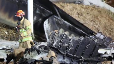 Accidente aéreo en Muan, Corea del Sur