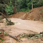 Avalancha en el sector El Hondito, corregimiento de Santa Rosa, en Policarpa, dejó varias casas afectadas y árboles caídos