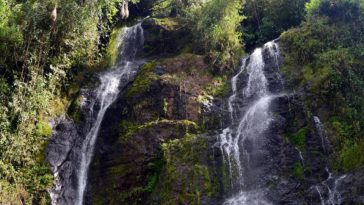 Colombia espera más de 8 millones de dólares tras rueda de negocios en México