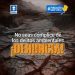 Cómo denunciar un delito ambiental