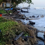 Comunidad de Santander de la Cruz, en Moñitos, clama por soluciones ante erosión costera