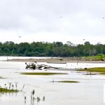 Director de la UNGRD lideró visita estratégica a Bajo Baudó – Chocó.