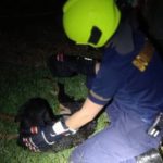 En Pensilvania rescataron a un perro que cayó en un caño