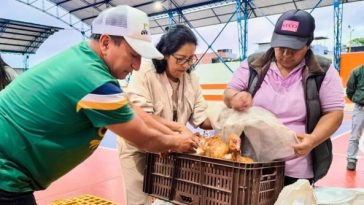 Entregan 243 gallinas a familias vulnerables de Bolívar, Sandoná, para fomentar desarrollo rural sostenible