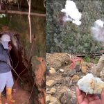 Fin de la mina “madre” de extracción ilegal de oro en los Farallones de Cali; Llevaba más de 60 años funcionando.