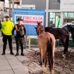 En la fotografía aparecen los cuatro caballos rescatados junto a dos funcionarios del CTI y dos uniformados de la Policía Nacional. en la parte superior está un banner de la Fiscalía General