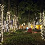 La Gobernación de Bolívar también Ilumina la Navidad en Cartagena 