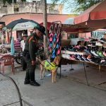 La historia de Oker, el héroe de cuatro patas que combate la pólvora en Bolívar durante navidad