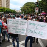 Marcha contra el glifosato: ¿por qué campesinos salieron de audiencia pública en Jamundí a recorrer Cali?