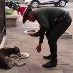 Perritos en estado de abandono recibieron cena navideña que organizó la Policía del Atlántico