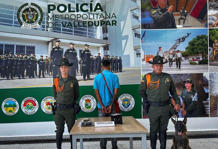 Perro antinarcóticos detectó  más de 70 dosis de marihuana