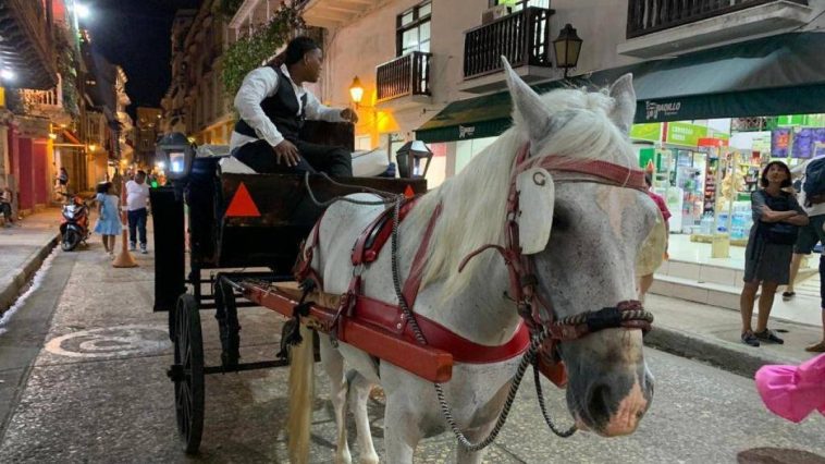 Se intensifica conflicto entre cocheros y Distrito por transición a coches eléctricos en Cartagena