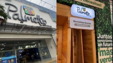 Sostenibilidad en Palmetto Plaza: educación ambiental, buen servicio y protección de la biodiversidad en Cali