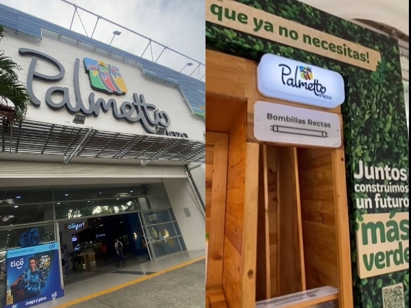 Sostenibilidad en Palmetto Plaza: educación ambiental, buen servicio y protección de la biodiversidad en Cali