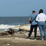 Niña murió por inmersión en las playas de Caño Dulce.