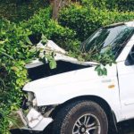 Una camioneta se estrelló contra un árbol en Palestina