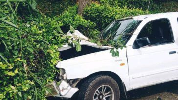 Una camioneta se estrelló contra un árbol en Palestina