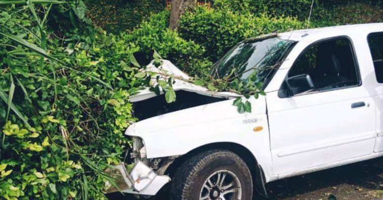 Una camioneta se estrelló contra un árbol en Palestina