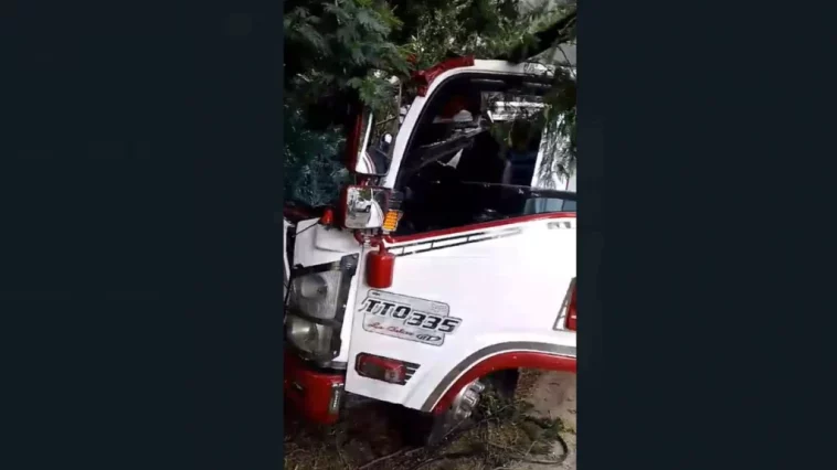 Zipaquirá: Pesado árbol cayó sobre la cabina de furgón: falleció ayudante