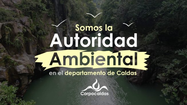 ¡Atención contribuyentes! Últimos días para ponerse al día y acceder a beneficios tributarios en Manizales